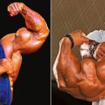 Best Arms Bodybuilding