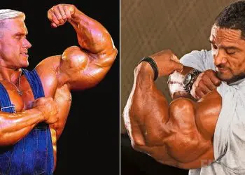 Best Arms Bodybuilding