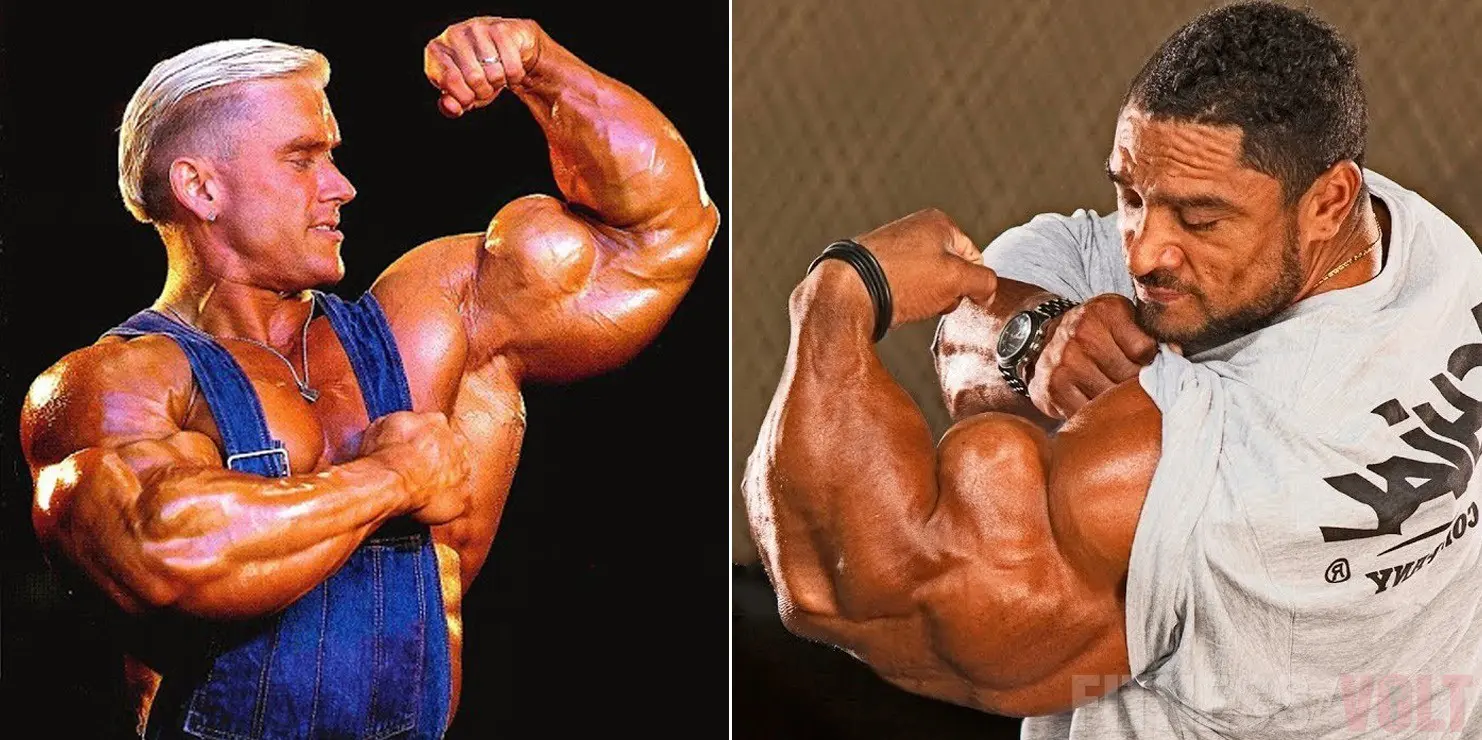 Best Arms Bodybuilding