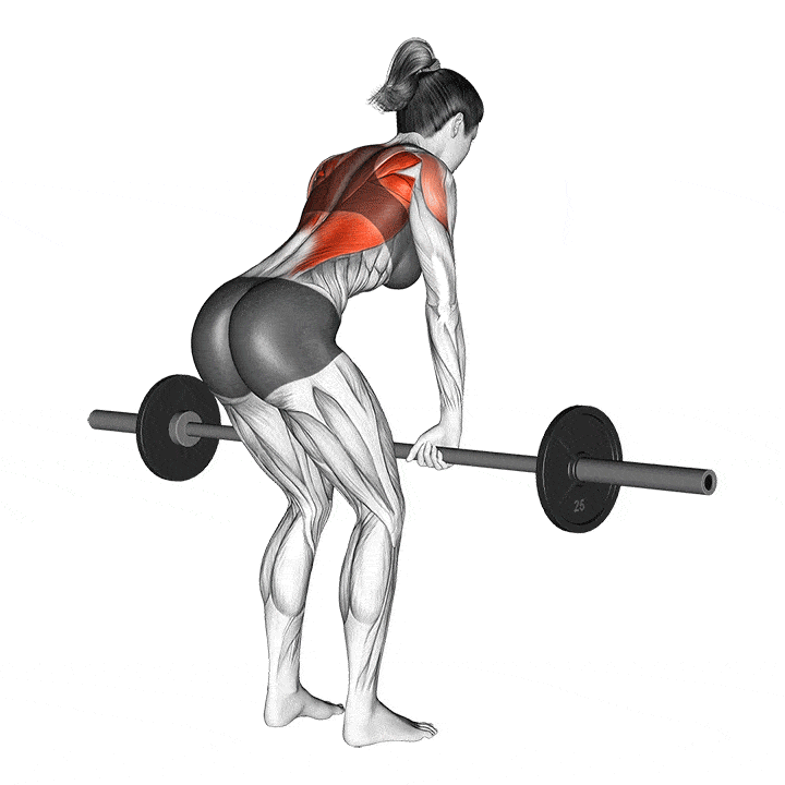 Inverted Row Alternatives For A Broader More Muscular Back Fitness Volt Inverted Row Alternatives For A Broader More Muscular Back Fitness Volt
