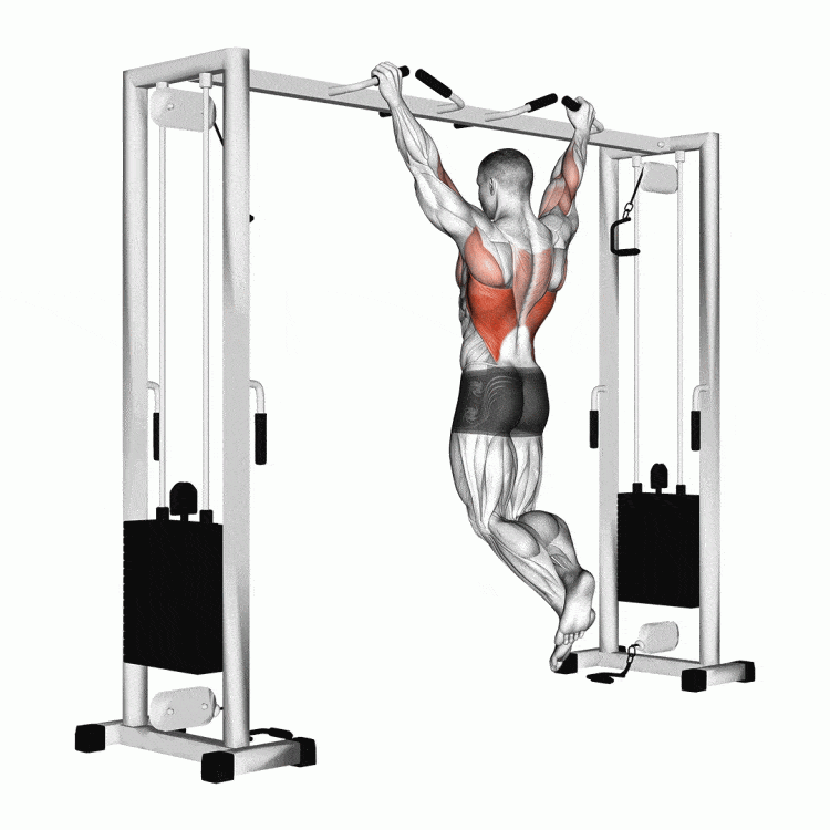 The Deadlift Vs The Pull Up Vs The Barbell Row – Fitness Volt