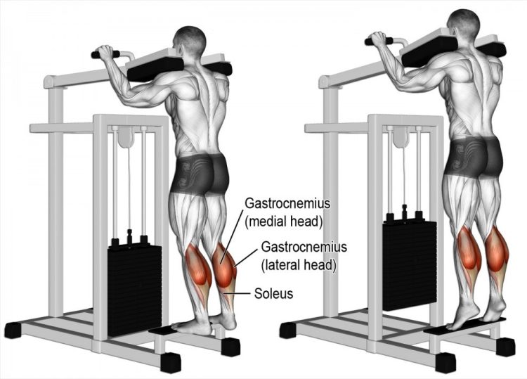 The 11 Most Effective Calf Raise Exercises Fitness Volt The 11 Most Effective Calf Raise Exercises Fitness Volt