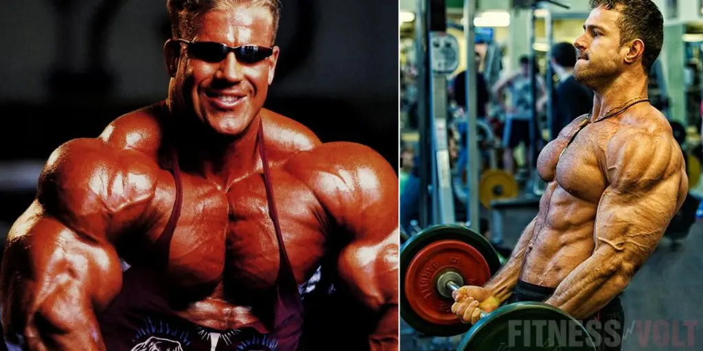 Mitochondria Muscle Building
