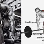Romanian vs. Stiff-Legged Deadlifts