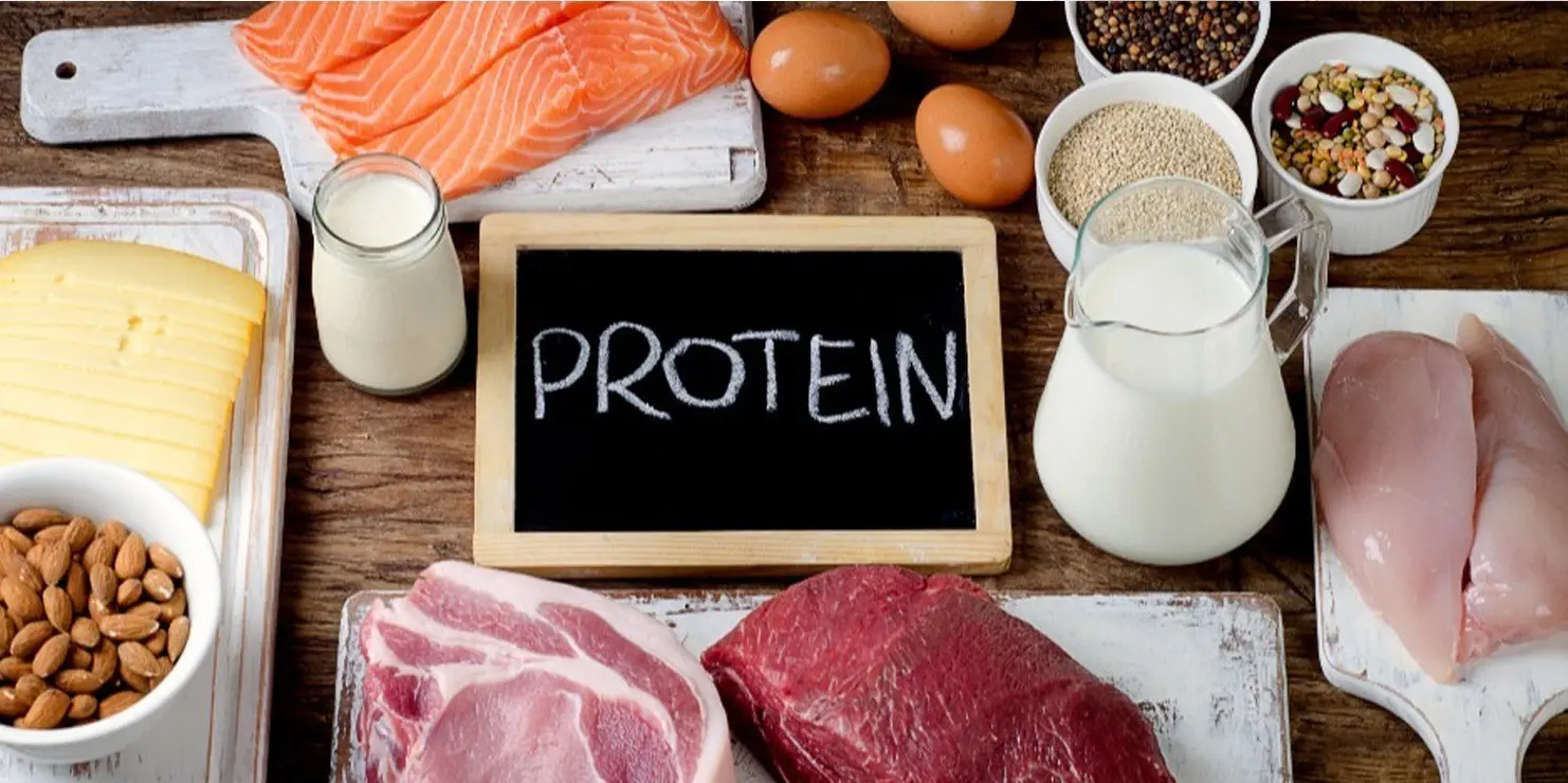 Protein Lie