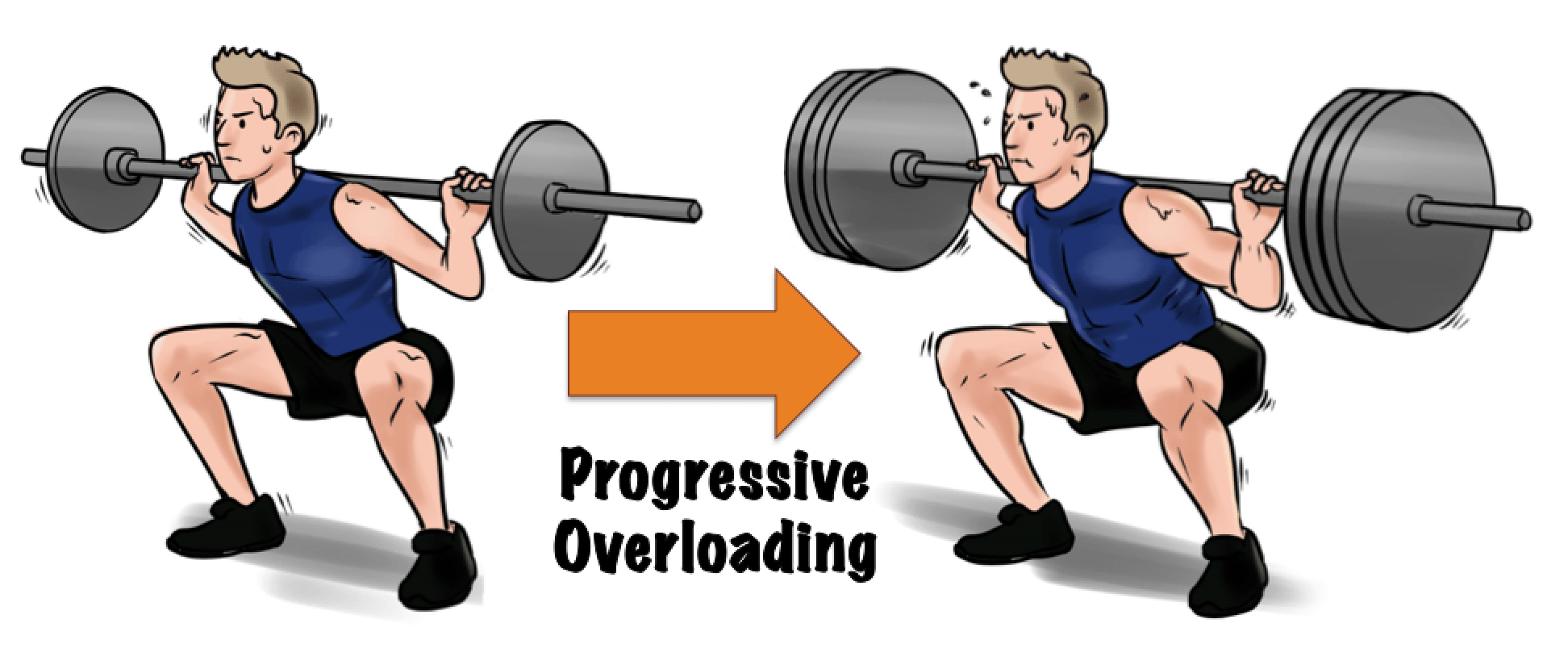 Muscle Development With Progressive Overload – The Concept You Must ...