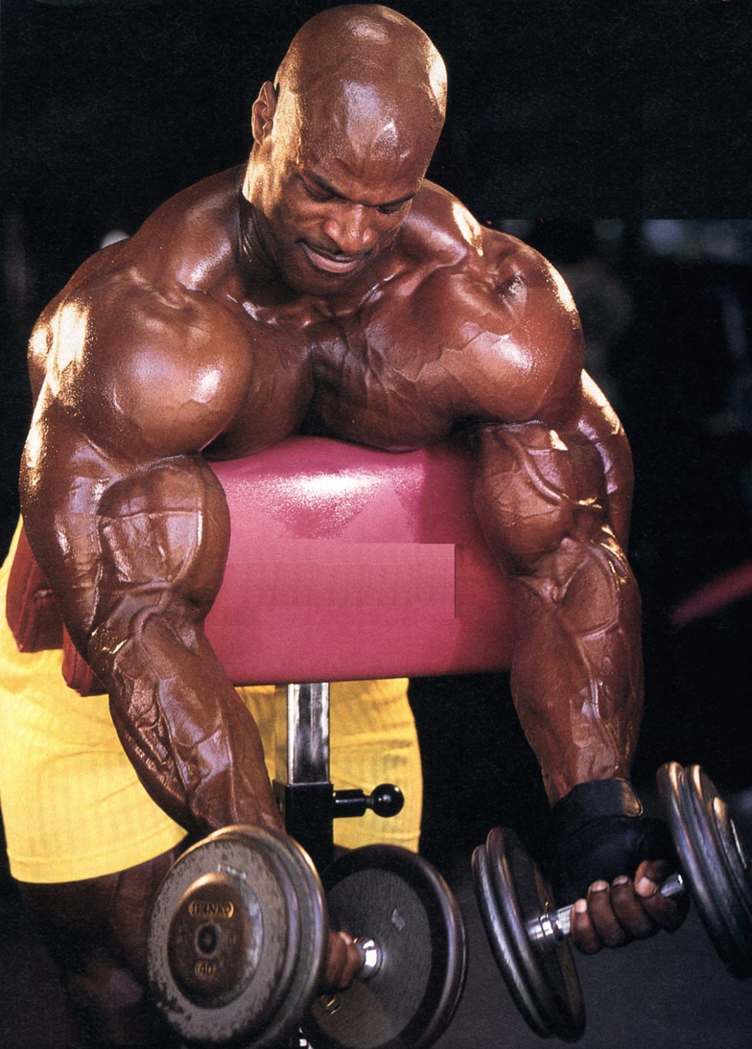 Ronnie Coleman Workout Program and Spreadsheet For KingSized Gains