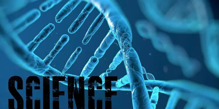 Fat Loss Science You Need To Know