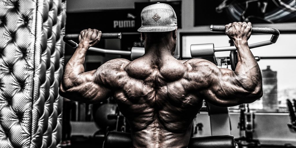 phat Images High Quality Grahic P.H.A.T. Training: Build Mass and Strength – Fitness Volt