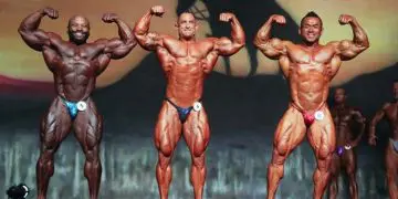 Europa Phoenix 2016 Results