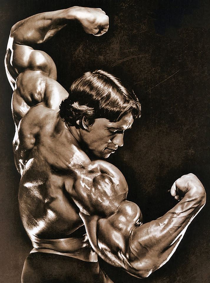 Arnold Schwarzenegger Images.