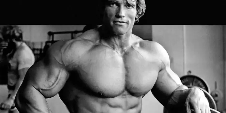 Arnold Schwarzenegger Complete Profile: Biography, Workout And Diet