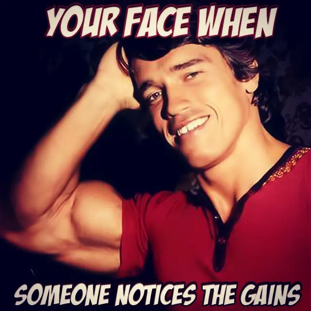 arnold-schwarzenegger-gains-mem