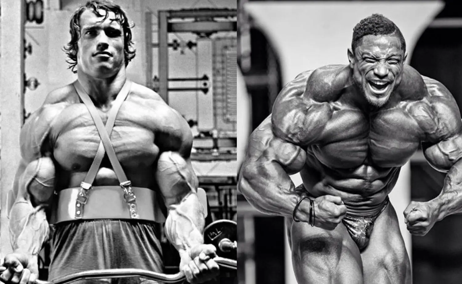 Best Carbs to Build Muscle