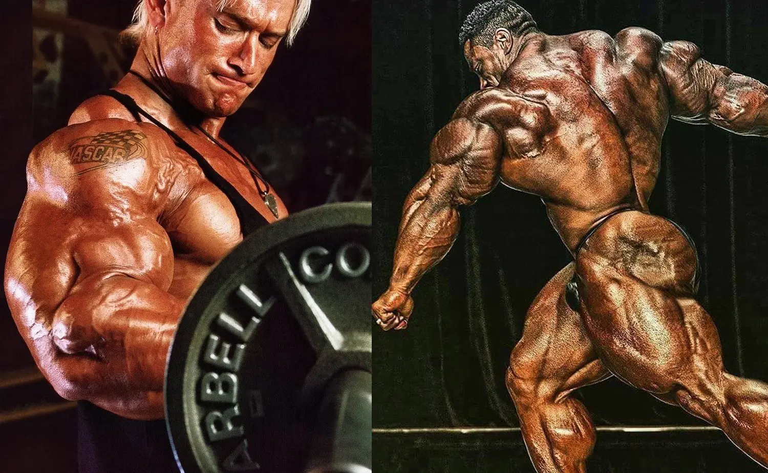 Lee Priest vs Roelly Winklaar