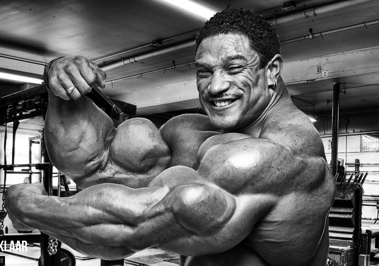 Image result for roelly winklaar arms