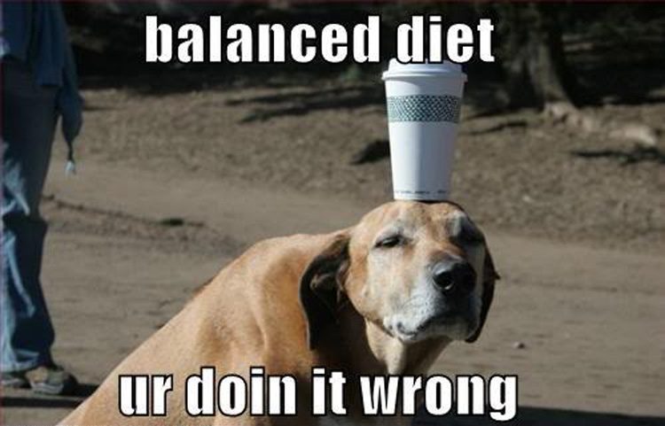 balanced-diet-funny