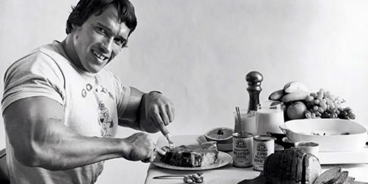 The Diet in the “Terminator’s” Era