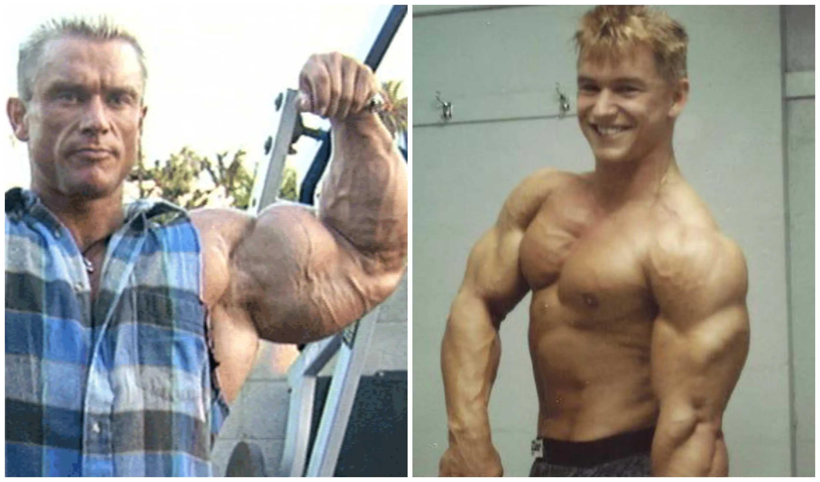 Lee Priest – Transformation