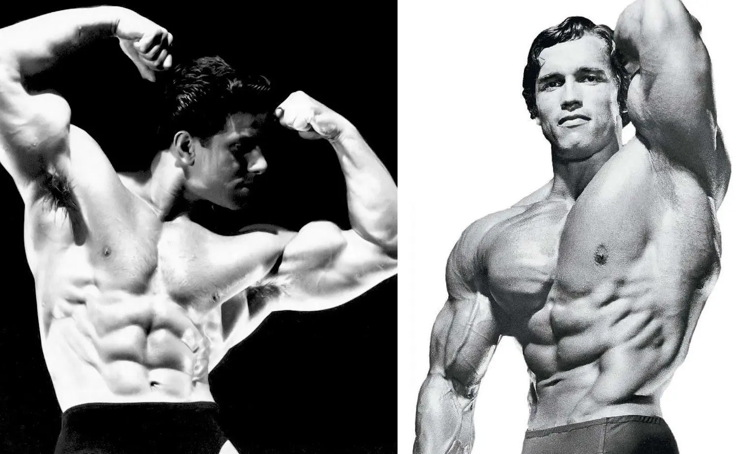 Reg Park Beginner Workout