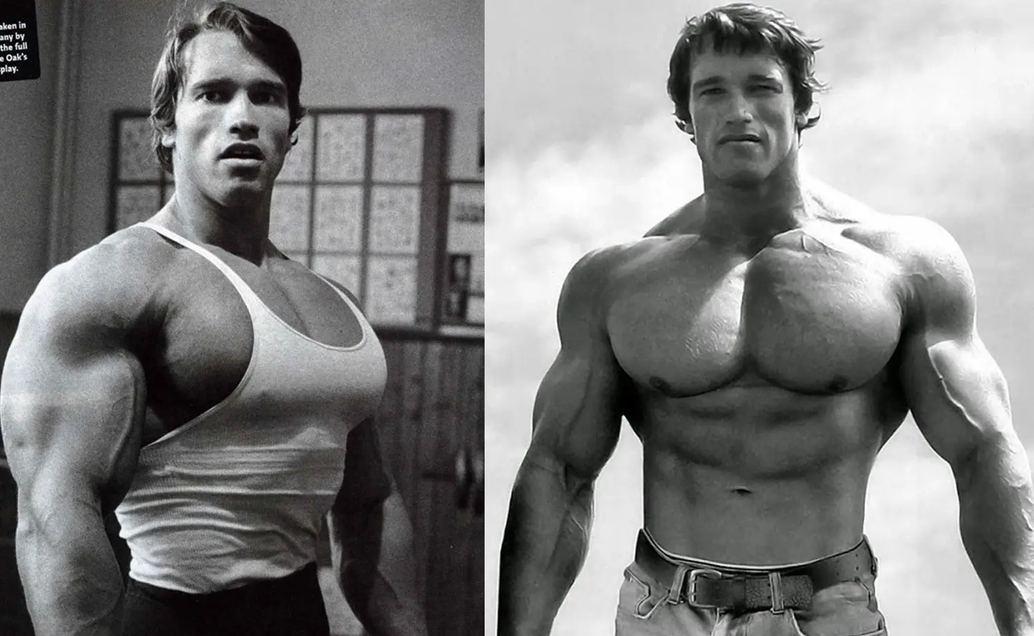 Arnold Chest