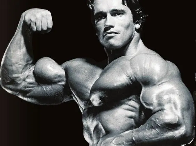 Bicep is perhaps the most attention-grabbing muscle of the arm speaking from a strictly visual aspect.