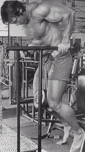 arnold-weighted-dips