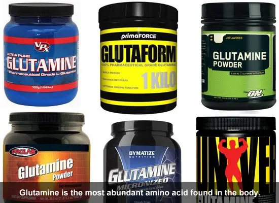 glutamine-amino-acid