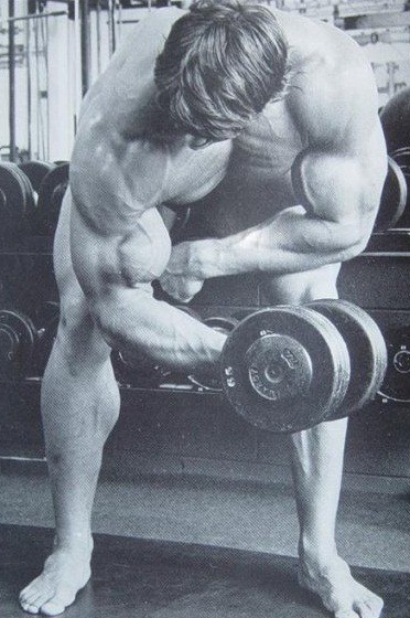 arnold-standing-concentration-curls