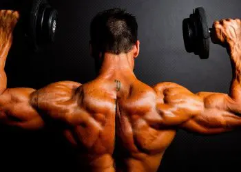 Best Dumbbell Exercises