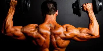 Best Dumbbell Exercises