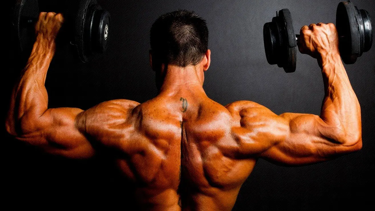 Best Dumbbell Exercises