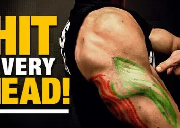Exercises for Triceps for Every Head