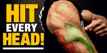 Exercises for Triceps for Every Head