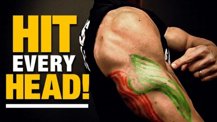 Exercises for Triceps for Every Head