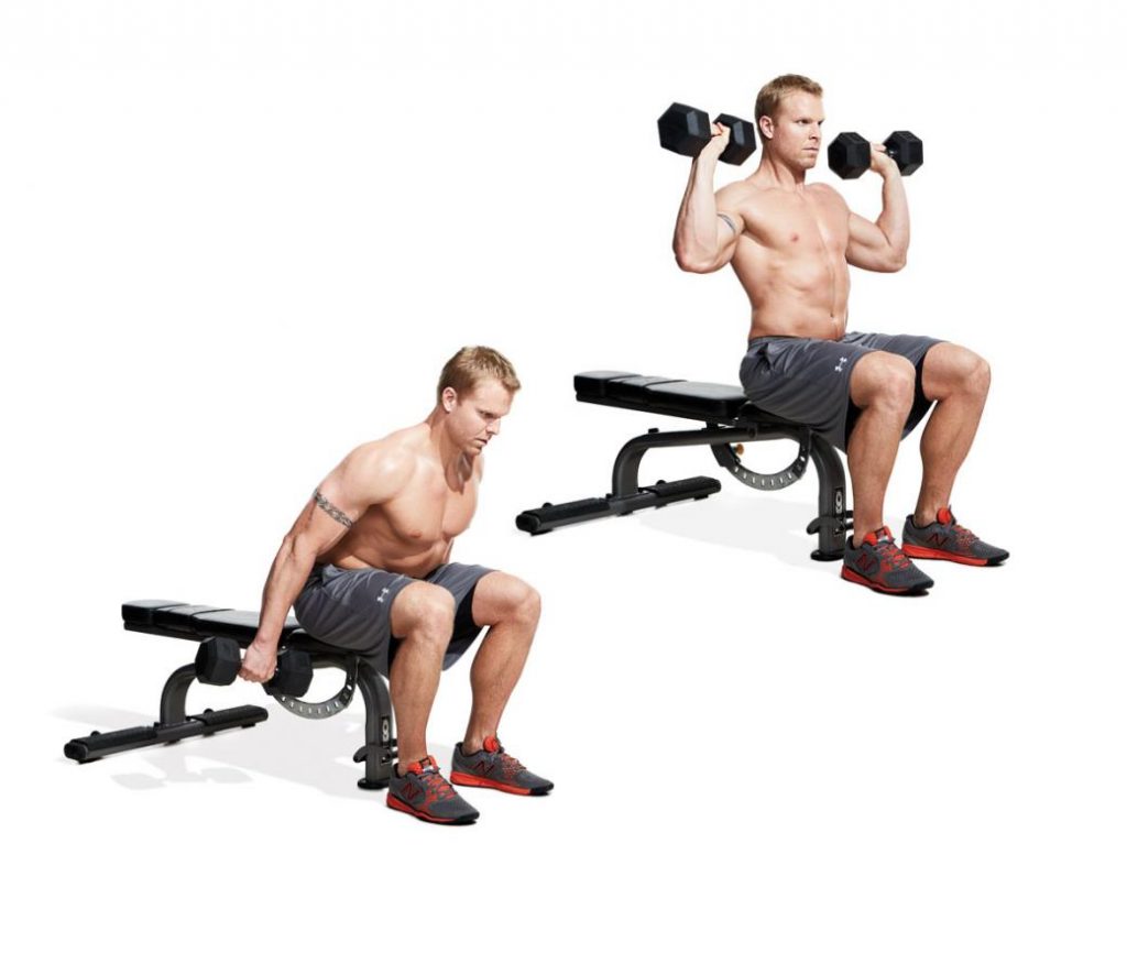 Seated Dumbbell Clean
