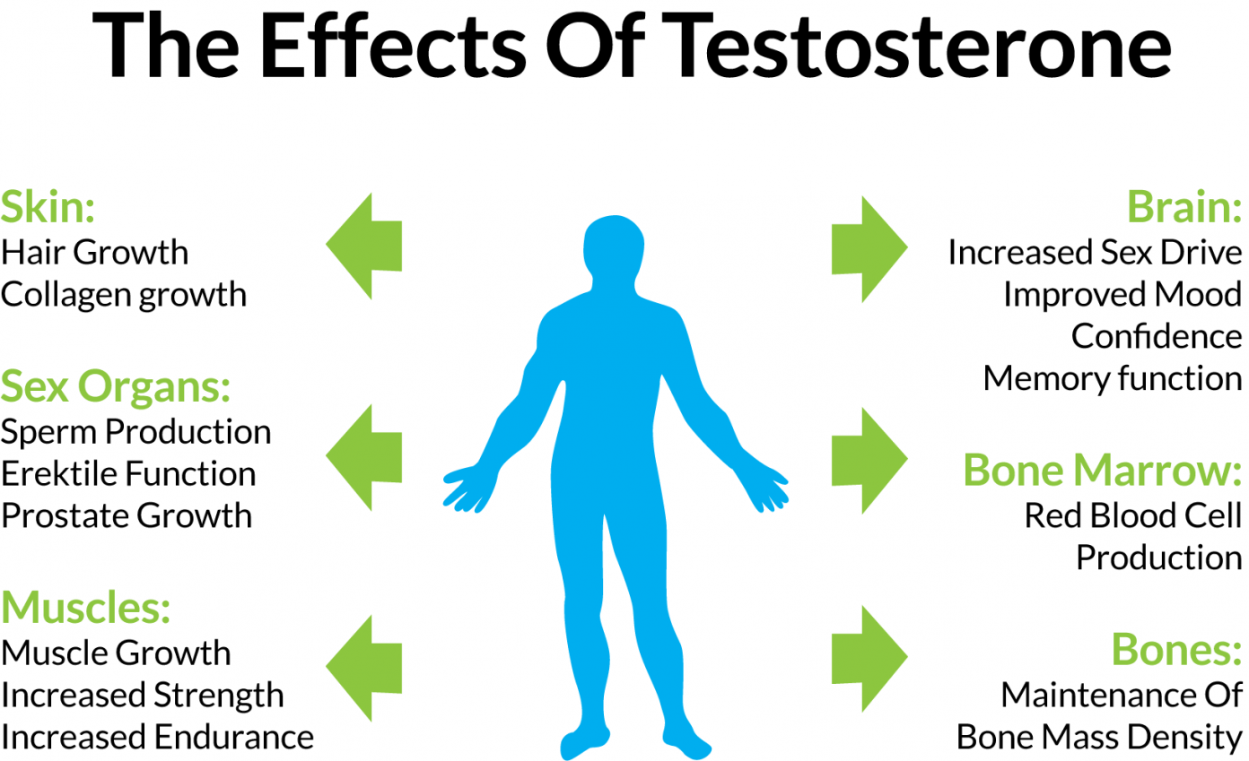 All About Testosterone Get The Edge Through Diet And Exercise 8973