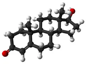 Testosterone Ingredients