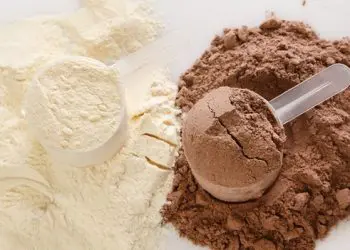 Whey or Casein