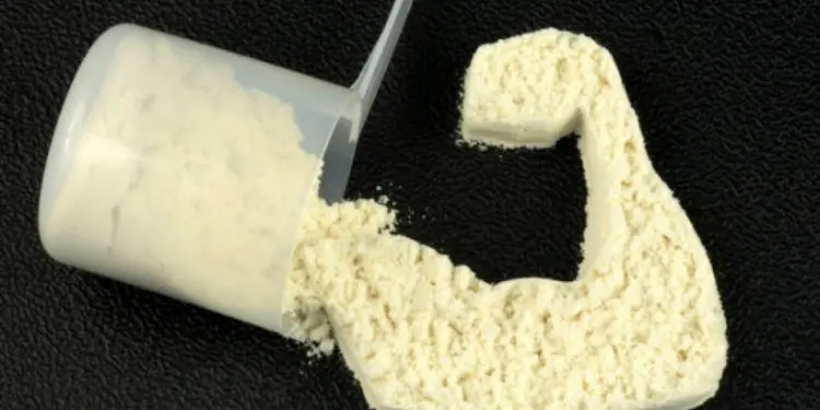 Whey vs. Casein – Benefits & Disadvantages You Should Know!