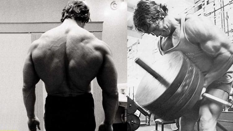 Back In The Day: Arnold Schwarzenegger's Back Training Tips ...