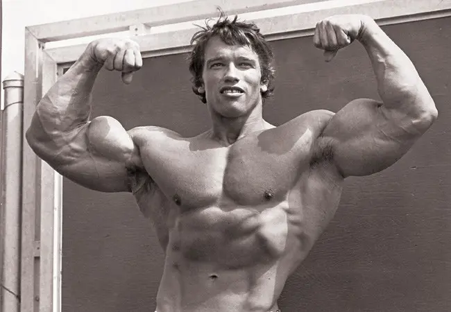 big-biceps-arnold