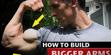 How to Get Big Arms – Triceps and Biceps