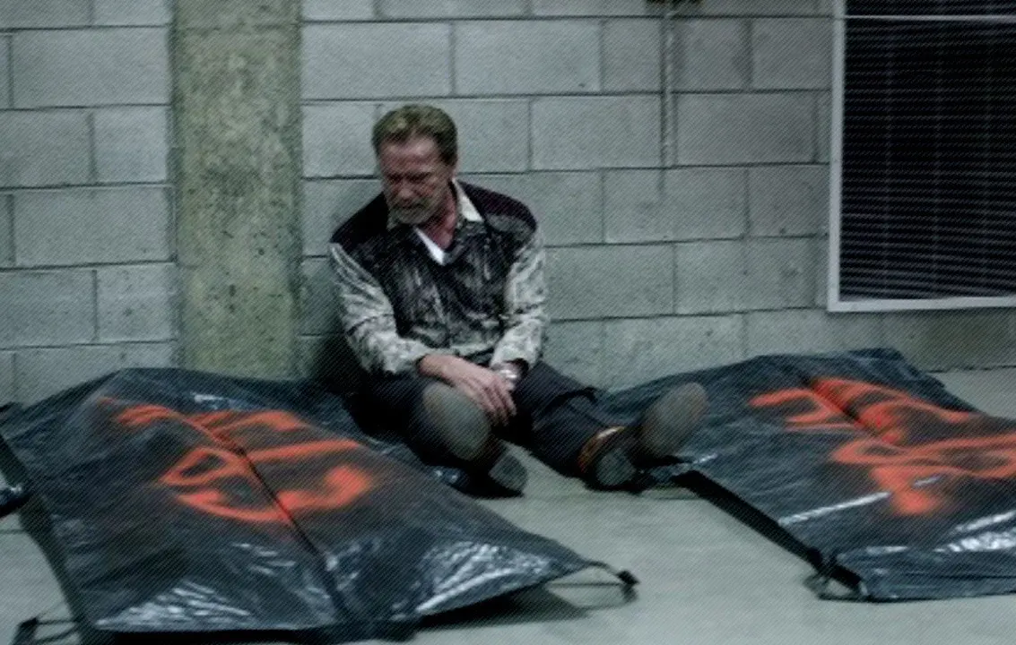 Arnold Schwarzenegger Aftermath