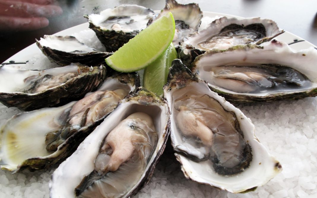 Testosterone Increase Your Levels Of This Essential Muscle Building