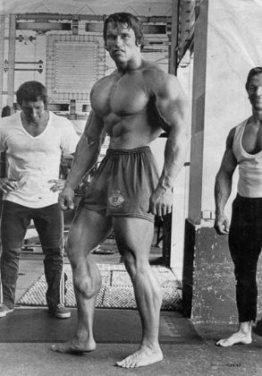 Oak Roots: How Schwarzenegger Turned His Weak Calves Into A Showcase ...