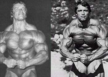 Building Traps: Just Learn To Shrug – Fairly Simple