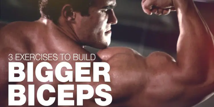 WATCH: 3 Best Exercises To Build Bigger Biceps with Calum Von Moger