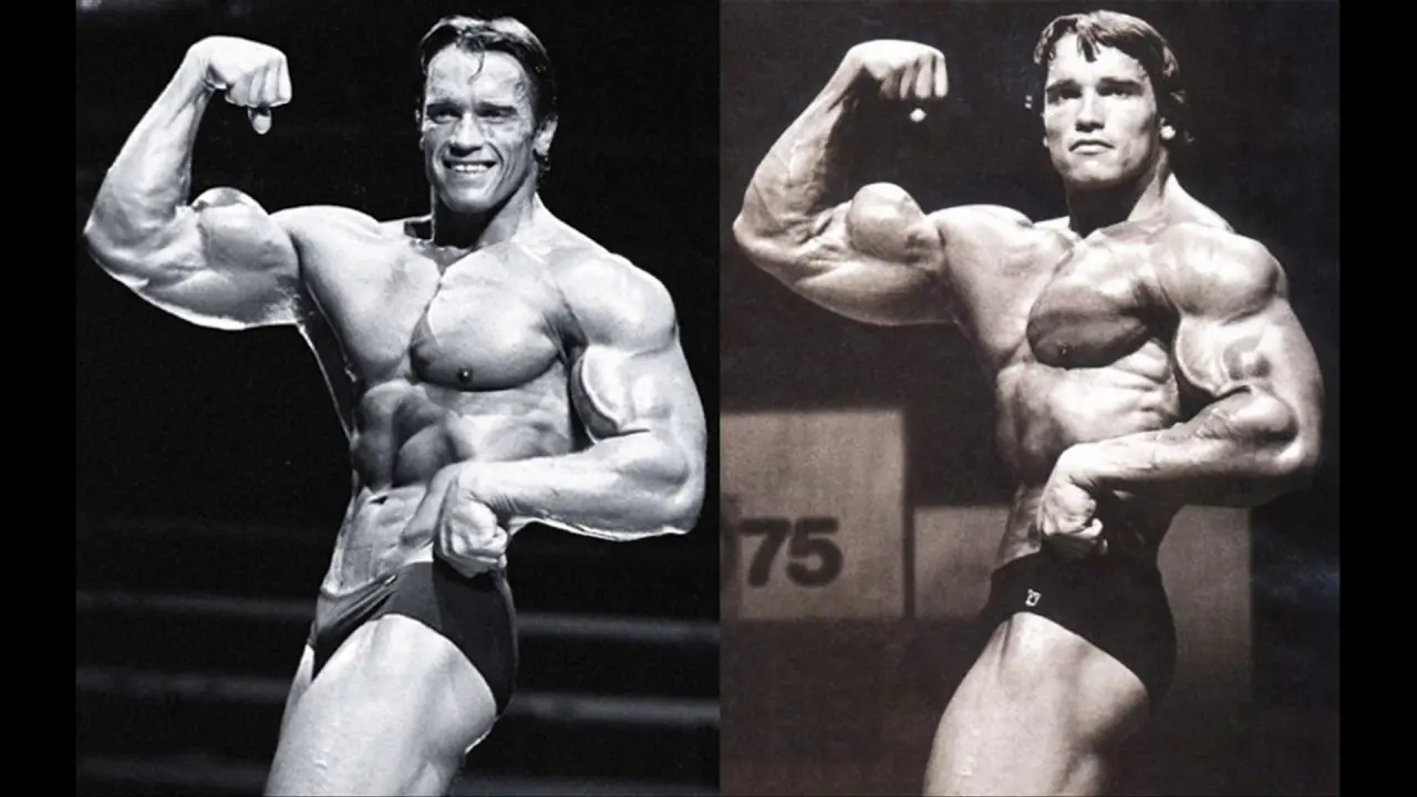 Arnold Schwarzenegger