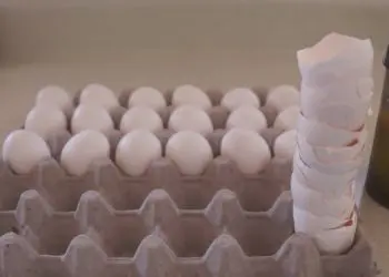 WATCH: How To Gain MASS Without Steroids – Jeff Seid